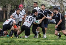 rugby images stock rugby images stock