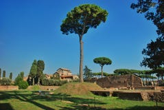 Ruins at the Palatine Hill in Rome, Italy royalty free stock images Ruins at the Palatine Hill in Rome, Italy royalty free stock images