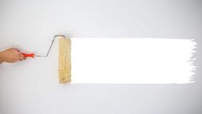 Rullo tenuto in mano del ` s del pittore alle pitture bianche di verniciatura di colore sulla parete grigia fotografia stock libera da diritti Rullo tenuto in mano del ` s del pittore alle pitture bianche di verniciatura di colore sulla parete grigia fotografia stock libera da diritti