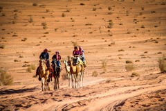 RUM do BARRANCO, JORDÂNIA - em novembro de 2009: Um grupo de turistas monta camelos através do deserto arenoso do local do patrim foto de stock RUM do BARRANCO, JORDÂNIA - em novembro de 2009: Um grupo de turistas monta camelos através do deserto arenoso do local do patrim foto de stock