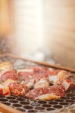 Rump barbeque on the grill. Meat with fat royalty free stock images Rump barbeque on the grill. Meat with fat royalty free stock images