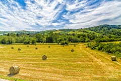 Runda höbaler i den italienska bygden Arkivfoton Runda höbaler i den italienska bygden Arkivfoton