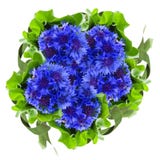 Runder Blumenstrauß der blauen Kornblumen stockbilder Runder Blumenstrauß der blauen Kornblumen stockbilder