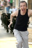 Running From The Bulls! Royalty Free Stock Photography