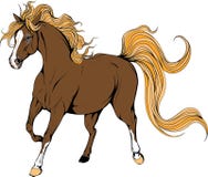 Running horse. Coloured Horse. stock illustration Running horse. Coloured Horse. stock illustration