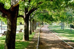 A running track at a park royalty free stock image A running track at a park royalty free stock image