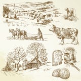 Rural landscape, agriculture