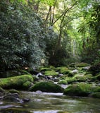 Rural River with Mossy Rocks royalty free stock image Rural River with Mossy Rocks royalty free stock image