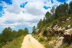 Rural road going forward Royalty Free Stock Images Rural road going forward Royalty Free Stock Images