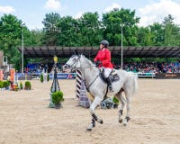 Russia, Leningrad region, Enkolovo village - JULY 7, 2019:INTERNATIONAL COMPETITIONS CSI ** - WORLD CUP, World Cup stage stock photo Russia, Leningrad region, Enkolovo village - JULY 7, 2019:INTERNATIONAL COMPETITIONS CSI ** - WORLD CUP, World Cup stage stock photo