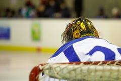 Russischer Hockeyspieler torhüter stockbilder Russischer Hockeyspieler torhüter stockbilder