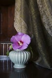 Rustic background with pink hibiscus flower Stock Images Rustic background with pink hibiscus flower Stock Images