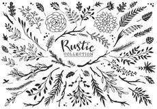 Free Rustic Decorative Plants And Flowers Collection. Hand Drawn. Stock Photos - 53999003
