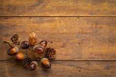 Rustikales Schmutzholz mit Falldekoration lizenzfreies stockfoto Rustikales Schmutzholz mit Falldekoration lizenzfreies stockfoto