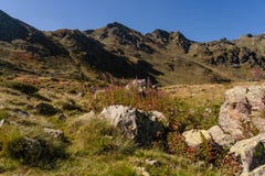 Ruta en el Parc Natural de la Vall de Arteny, los Pirineos, Andorra imagen de archivo Ruta en el Parc Natural de la Vall de Arteny, los Pirineos, Andorra imagen de archivo