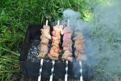 Ruwe kebabmarinade Het vlees wordt vastgebonden op vleespennen Het liggen op een schotel op het gras stock foto's Ruwe kebabmarinade Het vlees wordt vastgebonden op vleespennen Het liggen op een schotel op het gras stock foto's