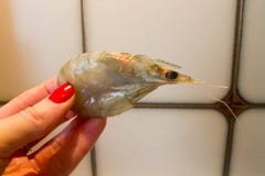 Ruwe verse garnaal in de hand op de keuken royalty-vrije stock afbeelding Ruwe verse garnaal in de hand op de keuken royalty-vrije stock afbeelding