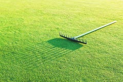 Râteau sur l'herbe verte pour le golf. Images libres de droits Râteau sur l'herbe verte pour le golf. Images libres de droits
