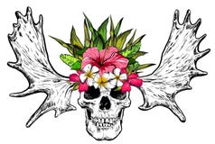Räcka den utdragna skallen med hjorthorn och blommor vektor royaltyfri illustrationer Räcka den utdragna skallen med hjorthorn och blommor vektor royaltyfri illustrationer