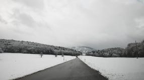 räknad vägsnowvinter Skogen och vägen i snön arkivfoton räknad vägsnowvinter Skogen och vägen i snön arkivfoton