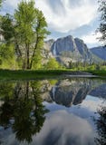 Réflexion de cascade à écriture ligne par ligne de Yosemite dans l'eau images stock Réflexion de cascade à écriture ligne par ligne de Yosemite dans l'eau images stock