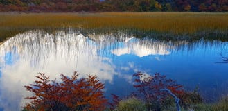 Réflexions dans l'eau des nuages et des couleurs Patagonian d'automne Laguna Capri et bâti Fitz Roy couvert par des nuages, Argen photo libre de droits Réflexions dans l'eau des nuages et des couleurs Patagonian d'automne Laguna Capri et bâti Fitz Roy couvert par des nuages, Argen photo libre de droits