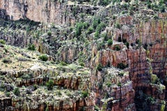 Région de région sauvage de canyon de la rivière Salt, réserve forestière de Tonto, Gila County, Arizona, Etats-Unis images stock Région de région sauvage de canyon de la rivière Salt, réserve forestière de Tonto, Gila County, Arizona, Etats-Unis images stock