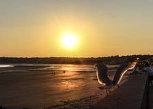 rêve de coucher du soleil de nature photographie stock rêve de coucher du soleil de nature photographie stock