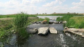 Río de Havel en verano vertedero histórico de la aguja Havelland (Brandeburgo, Alemania) Pescado almacen de metraje de vídeo Río de Havel en verano vertedero histórico de la aguja Havelland (Brandeburgo, Alemania) Pescado almacen de metraje de vídeo
