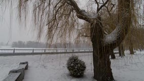 Río del invierno Nevadas hermosas en la orilla del río Río del invierno Nevadas hermosas en la orilla del río