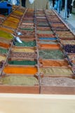 Różni karmowi drewniani zbiorniki aromatyczny ziele zdjęcia stock Różni karmowi drewniani zbiorniki aromatyczny ziele zdjęcia stock