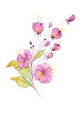 R??owi akwarela kwiaty na cienkich trzonach ilustracja wektor R??owi akwarela kwiaty na cienkich trzonach ilustracja wektor