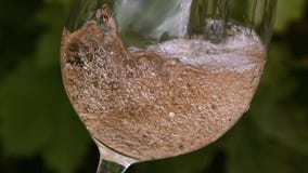 Różowy wino nalewa w szkło zdjęcie wideo Różowy wino nalewa w szkło zdjęcie wideo