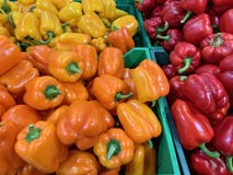 Röd, gul orange peppar Många i marknaden royaltyfri foto Röd, gul orange peppar Många i marknaden royaltyfri foto