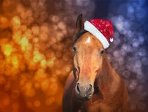 Röd häst i jultomtenhatt på julbakgrund med bokeh royaltyfria bilder Röd häst i jultomtenhatt på julbakgrund med bokeh royaltyfria bilder