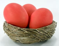 röda easter ägg Arkivfoton röda easter ägg Arkivfoton