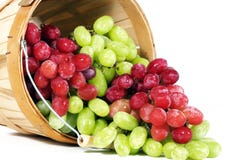 Röda och gröna Thompson Seedless druvor royaltyfria bilder Röda och gröna Thompson Seedless druvor royaltyfria bilder