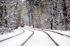 Röda spårvagnritter till och med vinterskogen mellan träden som täckas med vit snö arkivfoton Röda spårvagnritter till och med vinterskogen mellan träden som täckas med vit snö arkivfoton