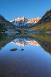 Rödbrun Klockor soluppgång Aspen Colorado Vertical Composition reflekterar royaltyfria bilder Rödbrun Klockor soluppgång Aspen Colorado Vertical Composition reflekterar royaltyfria bilder