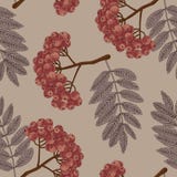 rönn bär Träd royaltyfri illustrationer rönn bär Träd royaltyfri illustrationer