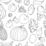 Ręka rysujący owoc bezszwowy wzór Zdrowy karmowy wektorowy tło ilustracji Ręka rysujący owoc bezszwowy wzór Zdrowy karmowy wektorowy tło ilustracji