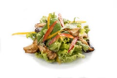 Sa?atka z kurczakiem Teriyaki i warzywami azjatykci lunch zdjęcie stock Sa?atka z kurczakiem Teriyaki i warzywami azjatykci lunch zdjęcie stock