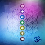 Sacred geometry flower of life with chakra icons