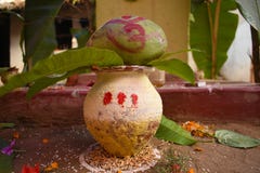 A sacred vessel with mango leaves and green coconut generally used in marriage ceremony or to worship in India royalty free stock images A sacred vessel with mango leaves and green coconut generally used in marriage ceremony or to worship in India royalty free stock images