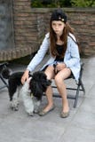 Sad teenage girl is comforted by her little poodle dog royalty free stock photos Sad teenage girl is comforted by her little poodle dog royalty free stock photos