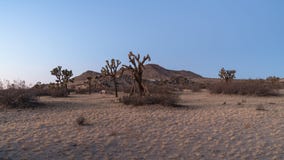 Saddleback Butte State Park in Lancaster, Californa, USA. royalty free stock image Saddleback Butte State Park in Lancaster, Californa, USA. royalty free stock image