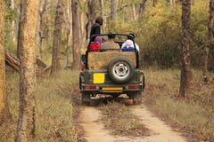 Safari jeep in deep forest stock photo Safari jeep in deep forest stock photo