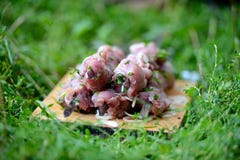 Saftige Scheiben des Fleisches lizenzfreie stockfotos Saftige Scheiben des Fleisches lizenzfreie stockfotos