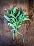 Sage bunch with ribbon on rustic wooden background, top royalty free stock photography Sage bunch with ribbon on rustic wooden background, top royalty free stock photography