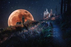 Sage walking in moonlight under the starry sky royalty free stock photo Sage walking in moonlight under the starry sky royalty free stock photo
